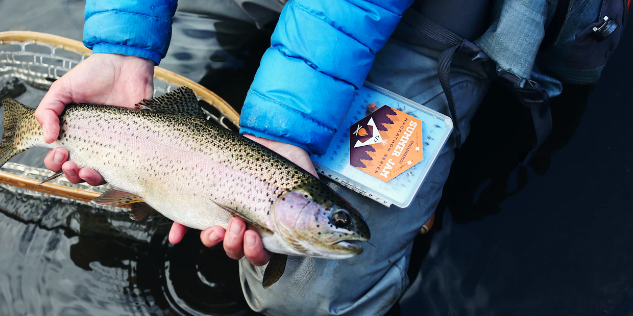 The Best Light Flies for Trout Fishing -- That You'll Wish You